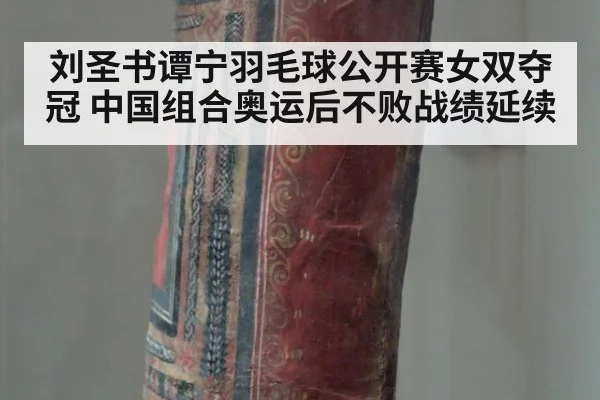 刘圣书谭宁羽毛球公开赛女双夺冠 中国组合奥运后不败战绩延续