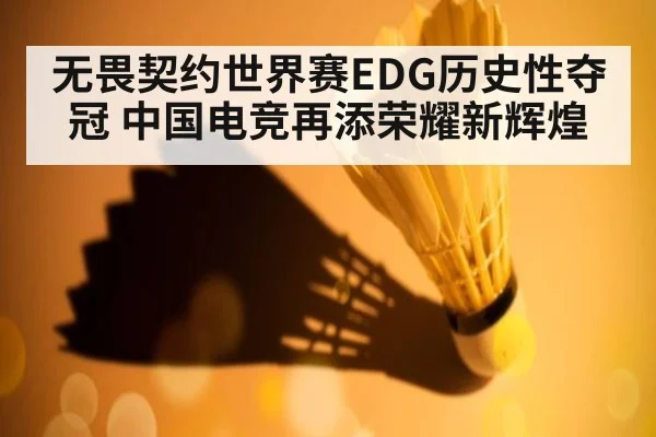 无畏契约世界赛EDG历史性夺冠 中国电竞再添荣耀新辉煌